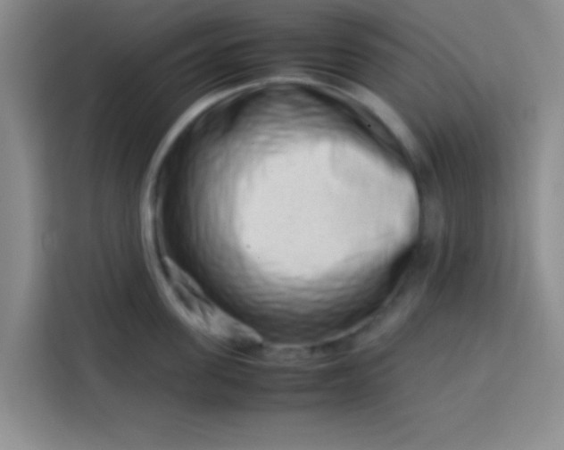 X0000113760955200910071129