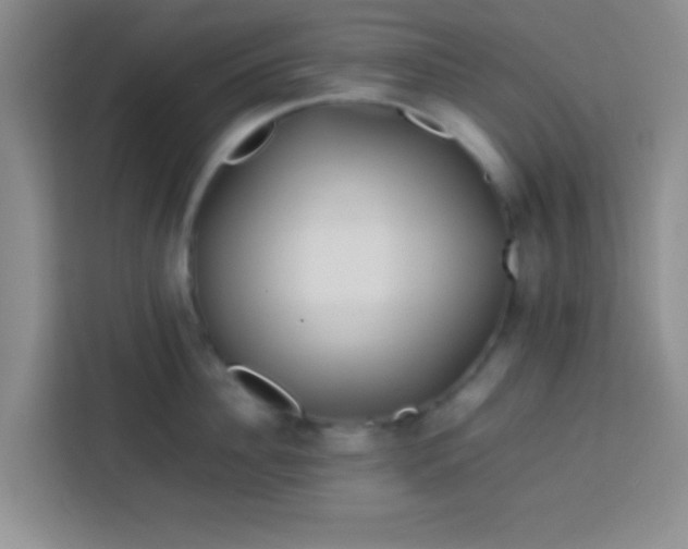 X0000113760956200910071129