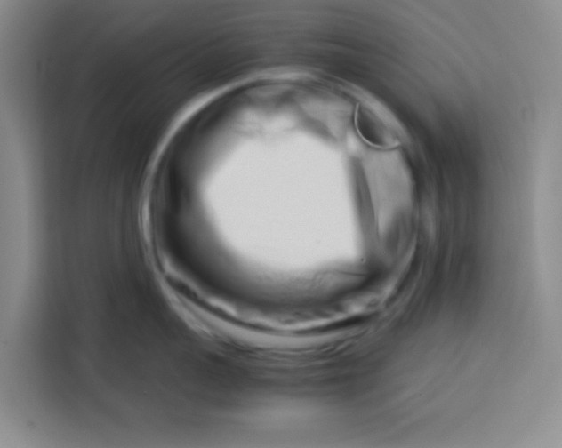 X0000113760959200910071129