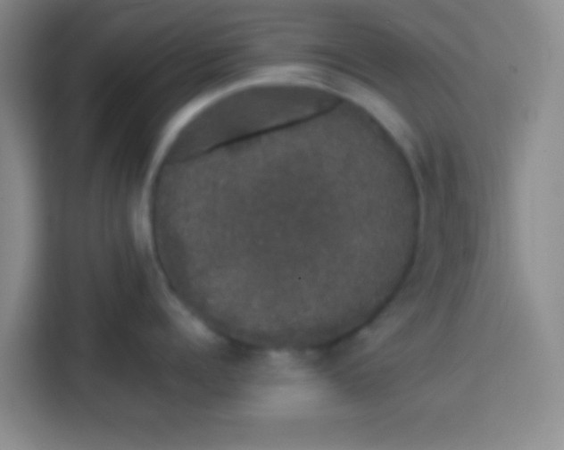 X0000113760960200910071129