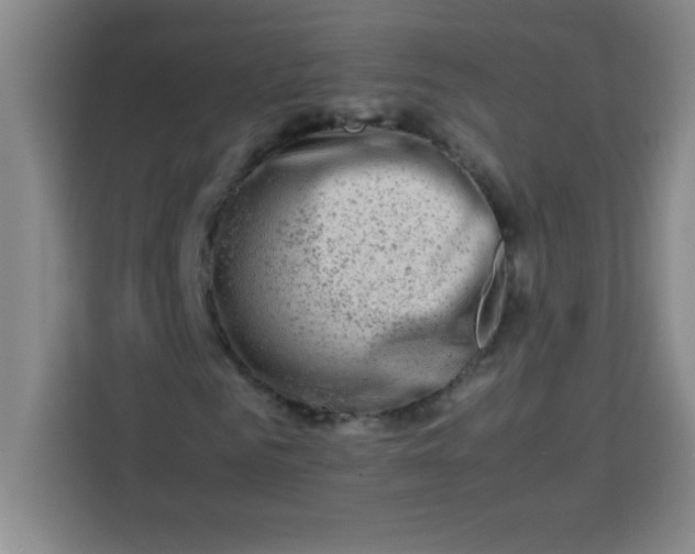 X0000113760961200910071128