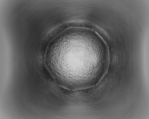 X0000113760966200910071128