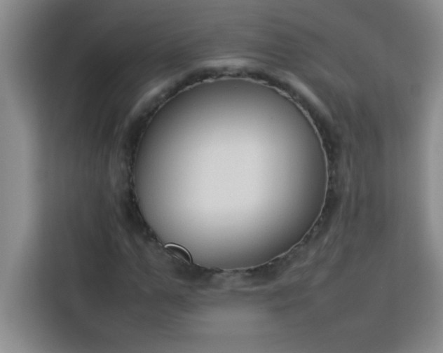 X0000113760967200910071128