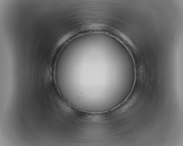 X0000113760970200910071128