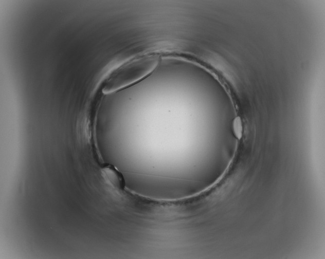 X0000113760973200910071128