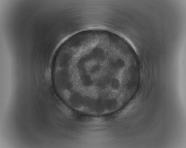 X0000113760975200910071128