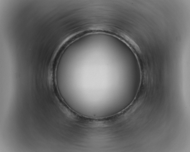 X0000113760976200910071128