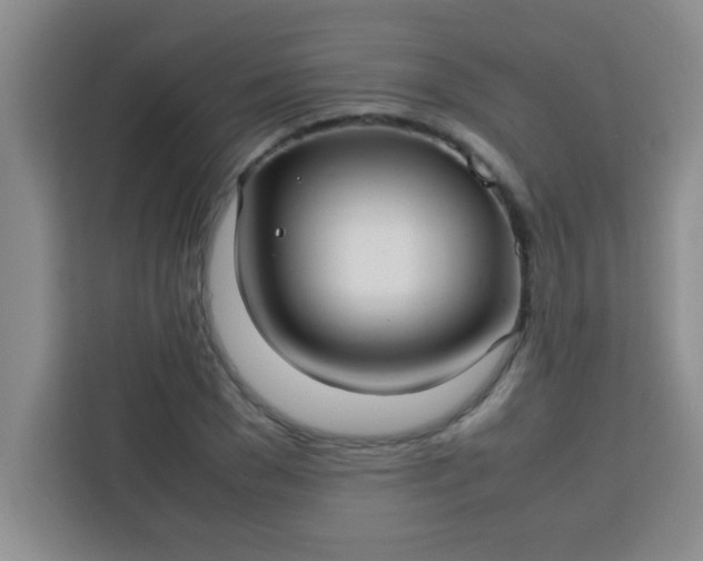 X0000113760977200910071128