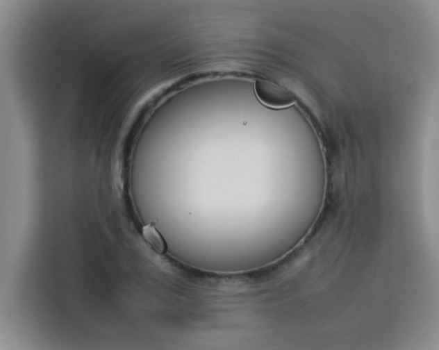 X0000113760979200910071128