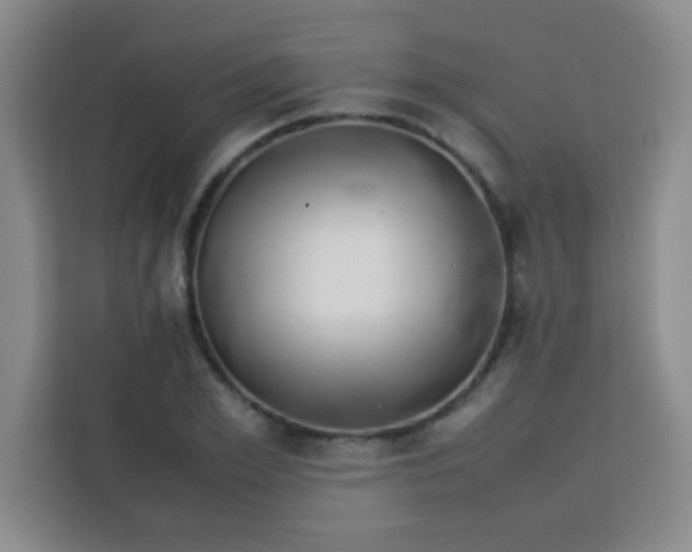 X0000113760981200910071128
