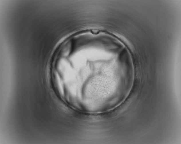 X0000113760983200910071128