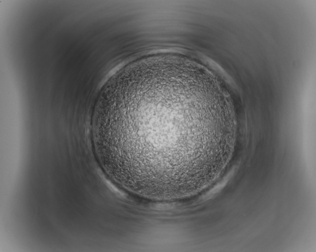 X0000113760985200910071128