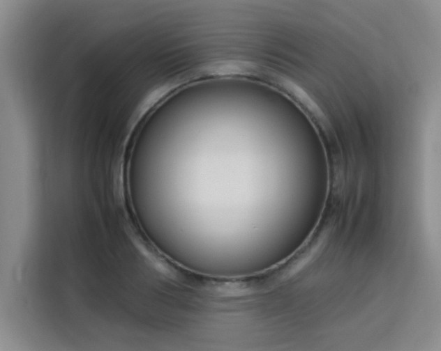 X0000113760986200910071128
