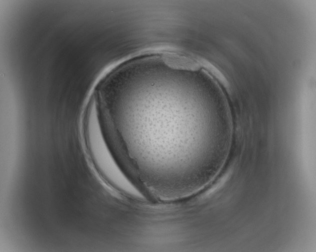X0000113760989200910071128