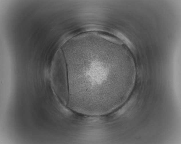 X0000113760993200910071128