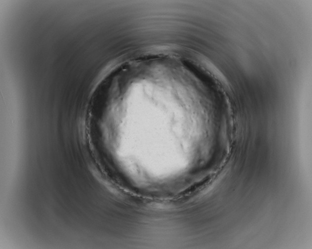 X0000113760994200910071128