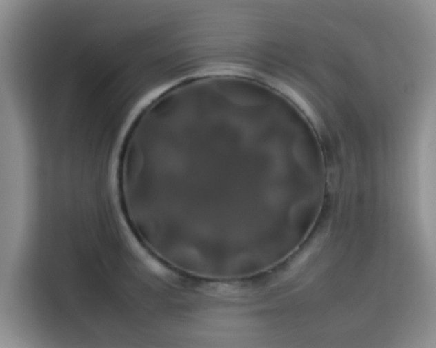 X0000113760995200910071128