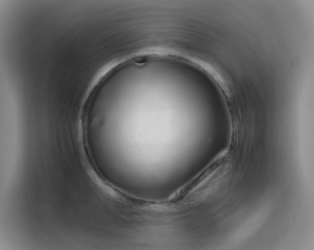 X0000113760998200910071128
