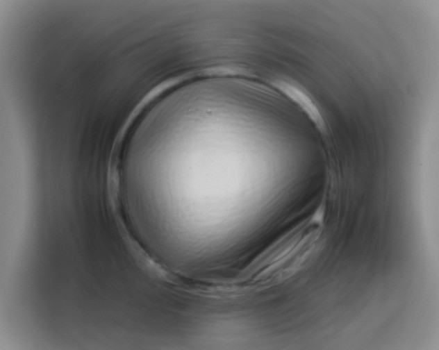 X0000113761000200910071128