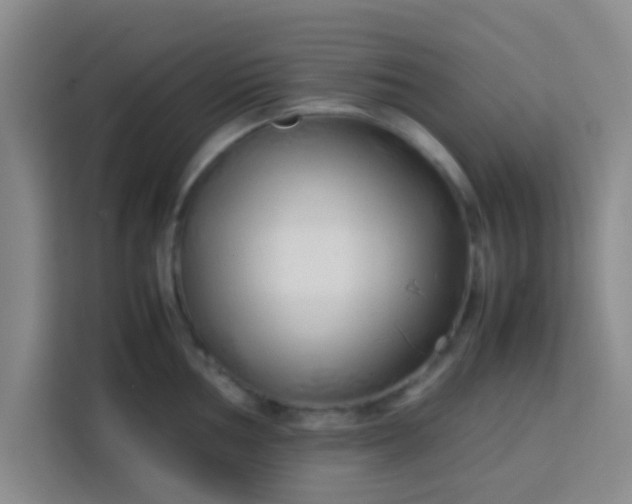 X0000113761002200910071128