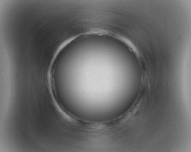 X0000113761003200910071128