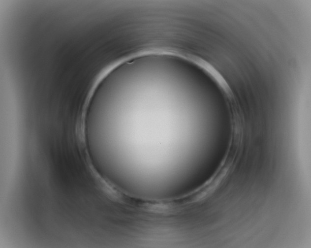 X0000113761004200910071128