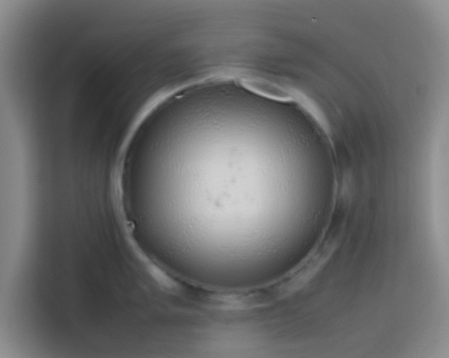 X0000113761005200910071128