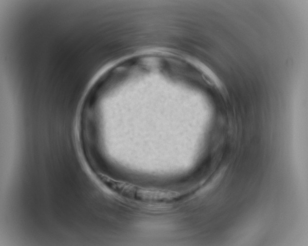 X0000113761007200910071128