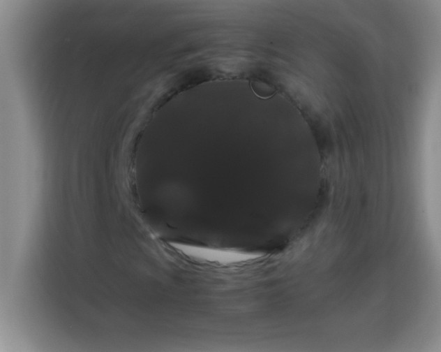 X0000113761009200910071127