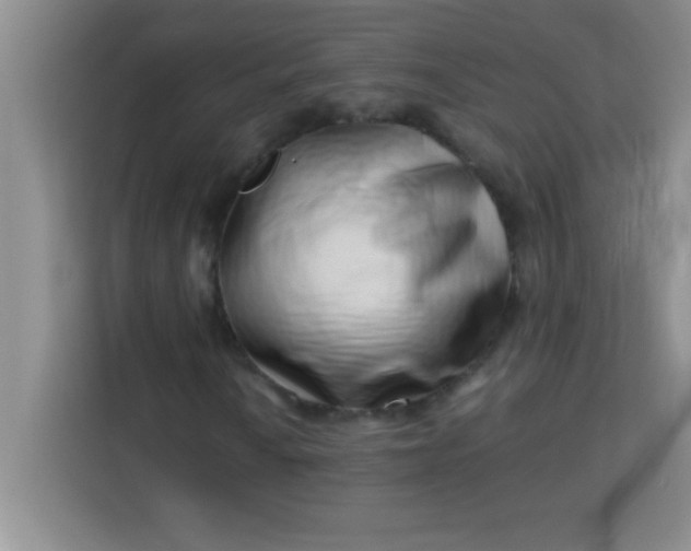 X0000113761010200910071127