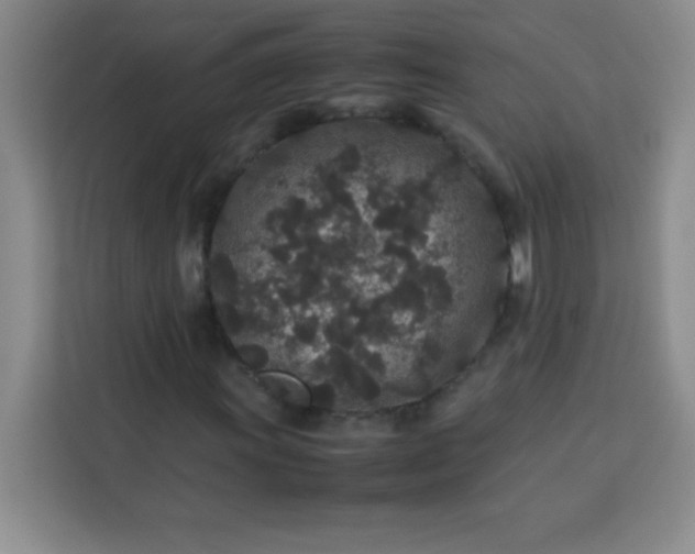 X0000113761011200910071127