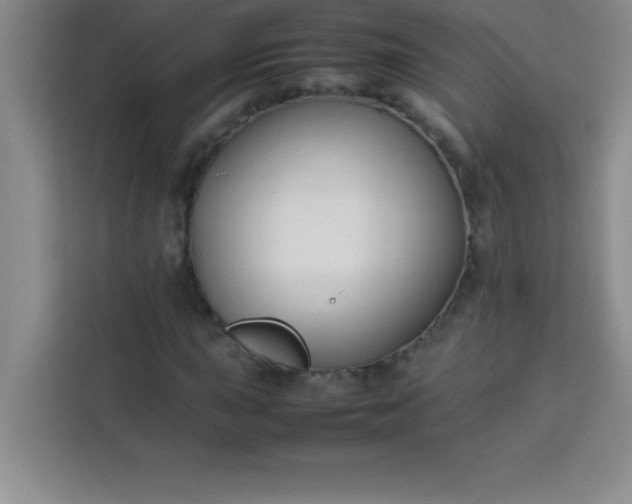 X0000113761015200910071127