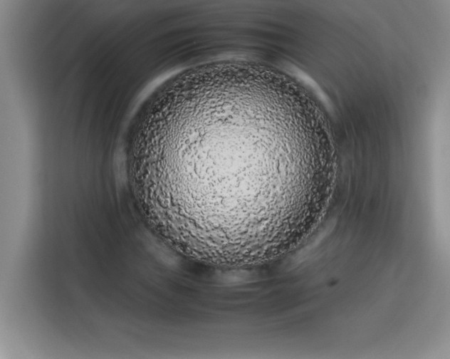 X0000113761019200910071127