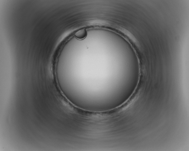 X0000113761022200910071127