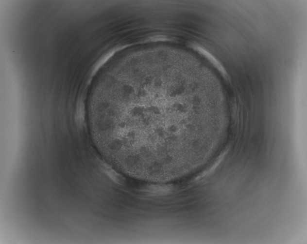 X0000113761023200910071127