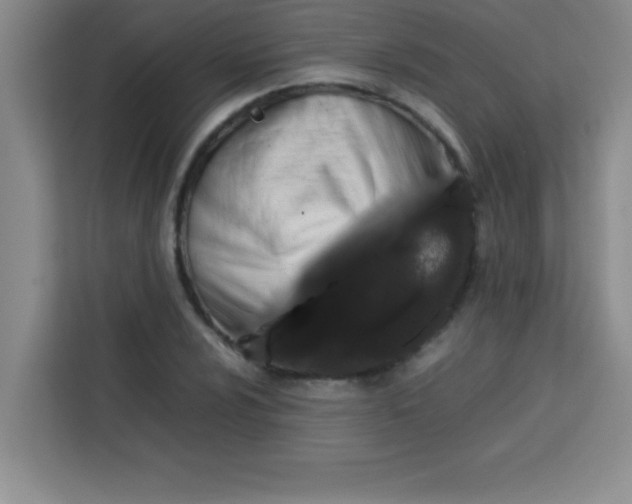 X0000113761024200910071127