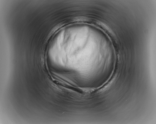 X0000113761025200910071127