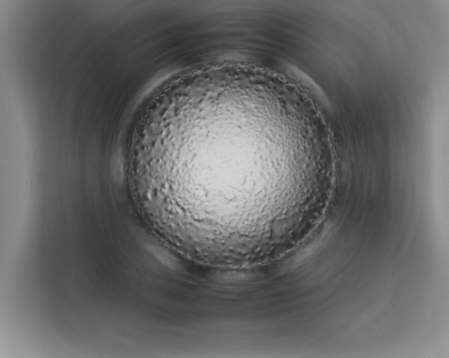X0000113761027200910071127