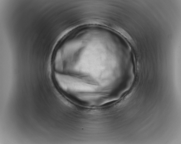 X0000113761028200910071127