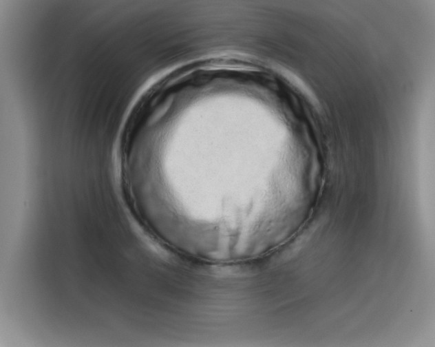 X0000113761032200910071127