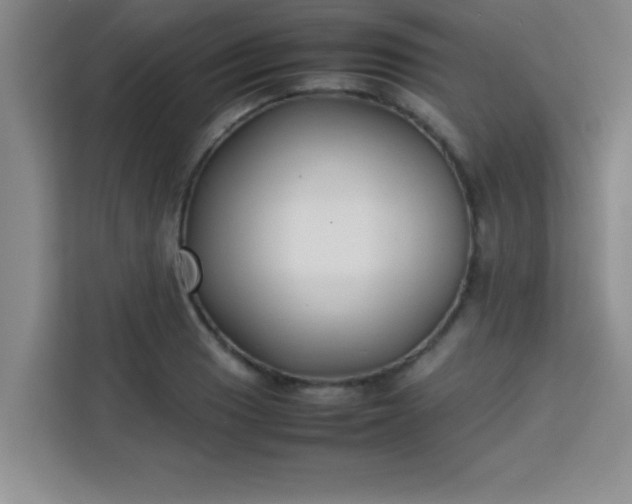 X0000113761033200910071127