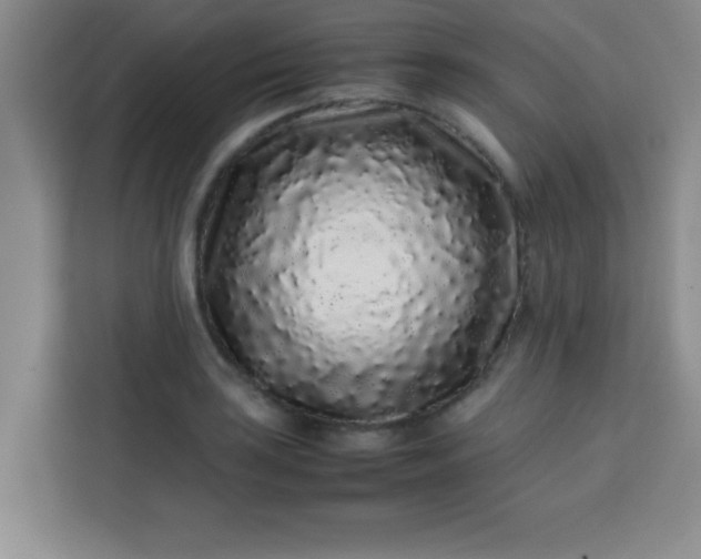 X0000113761035200910071127