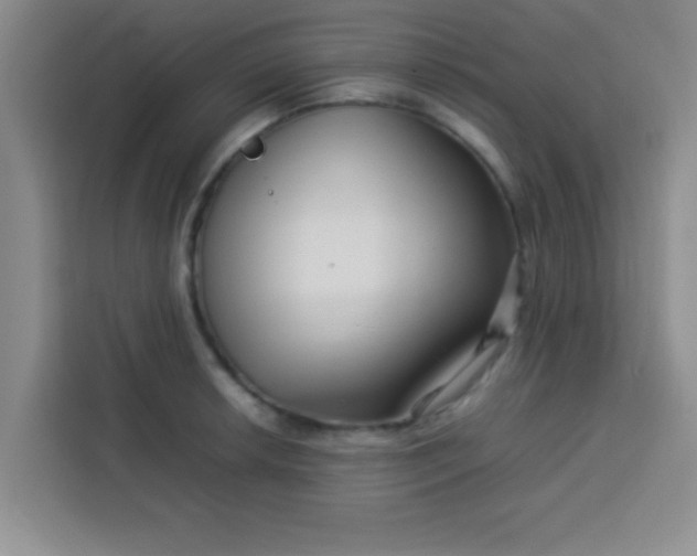 X0000113761042200910071127