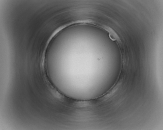X0000113761044200910071127