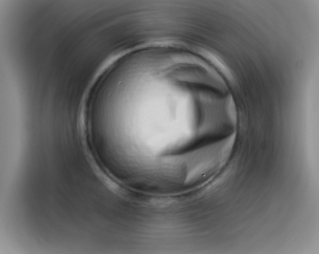 X0000113761046200910071127