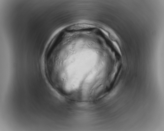 X0000113761048200910071128