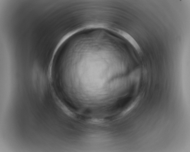 X0000113761052200910071128