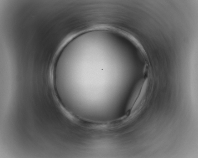 X0000113761054200910071128
