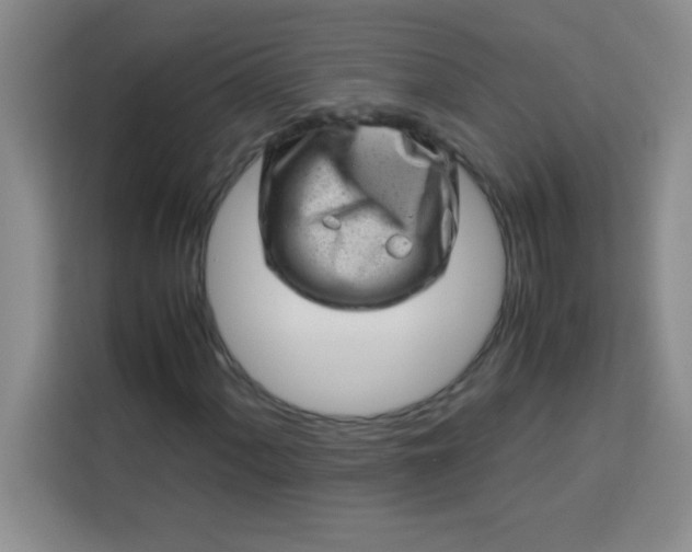 X0000113761060200910071127