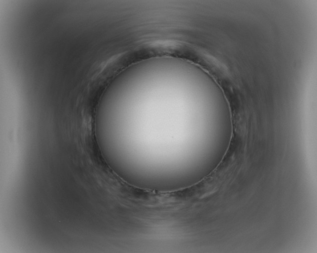 X0000113761061200910071127